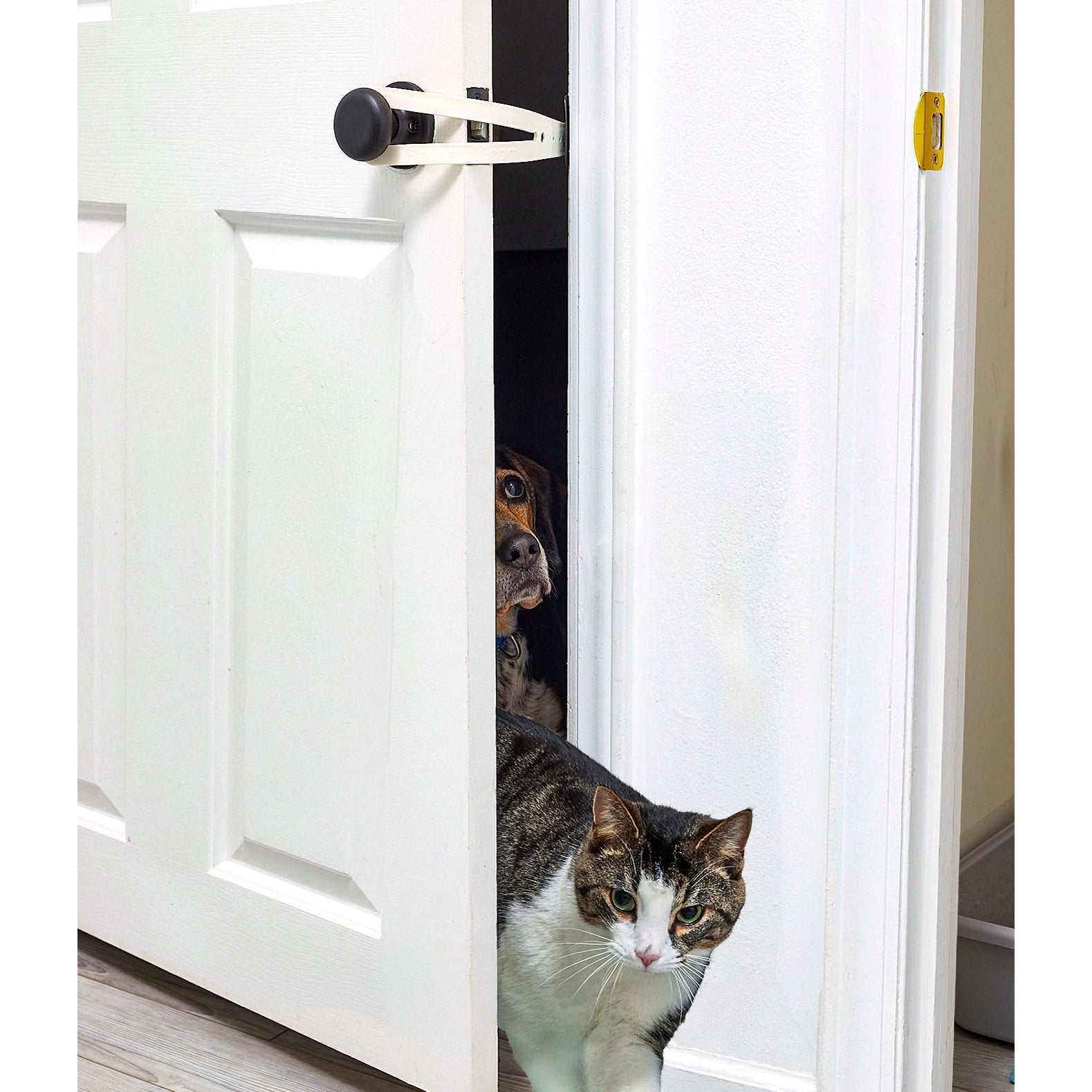 FlexiPaws™ Pet Door Holder