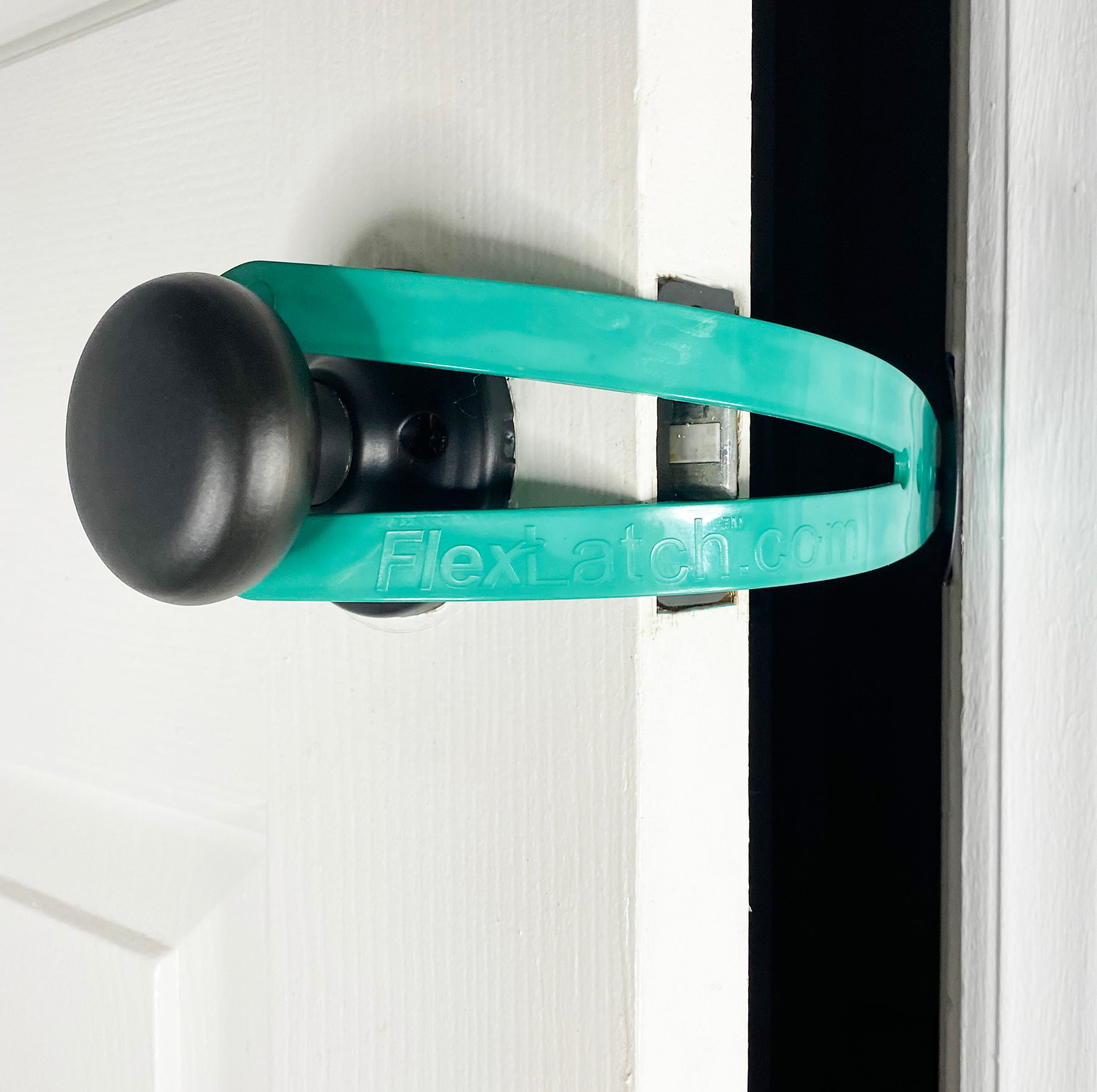 FlexiPaws™ Pet Door Holder
